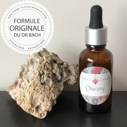 Fleur de Bach N°08 - Chicory / Chicorée