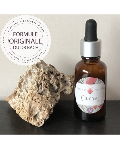 Fleur de Bach N°08 - Chicory / Chicorée